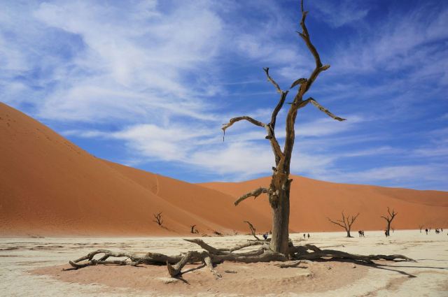 Namib-Naukluft National Park