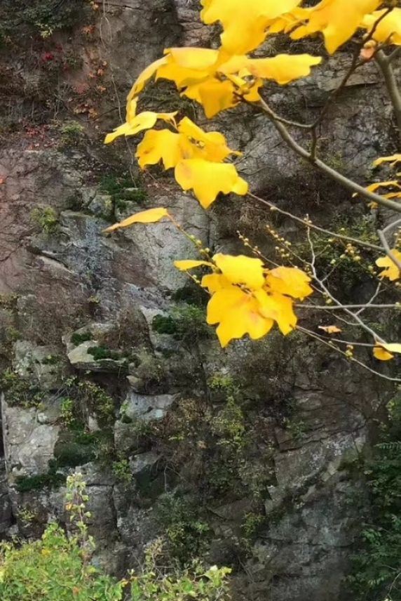 牛毛山公园旅行图片 3