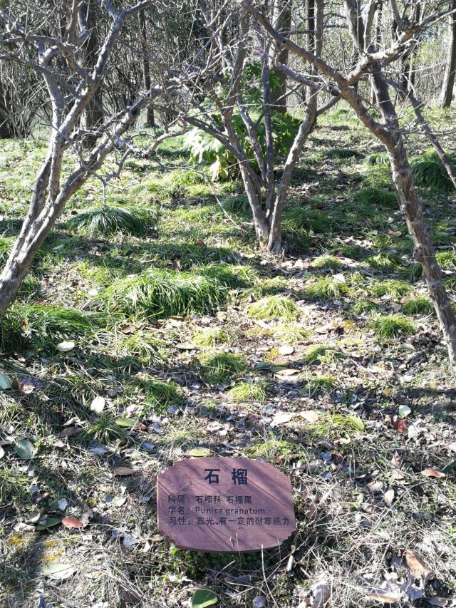 新江湾湿地生态观鸟拍鸟基地旅行图片 6