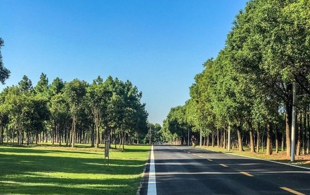 艾溪湖森林湿地公园旅行图片 1