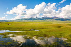 特克斯游记图片] 大美新疆狂放十二日行（上篇）