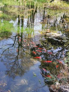 桃源村-大理市-马仁小屋