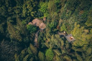 成都周边亲子游|带孩子回归自然，住进精灵的树屋里