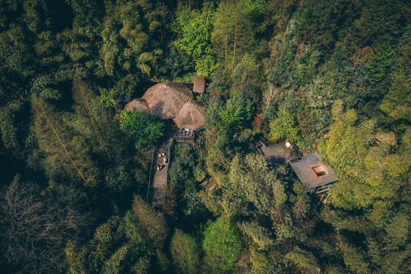 成都周边亲子游|带孩子回归自然,住进精灵的树屋里