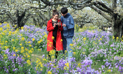 宿州游记图片] 春游江淮请您来|在这最好的时节，去宿州拥抱一个春暖花开