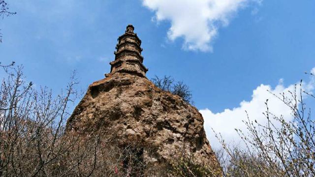 柏林寺旅行图片 3