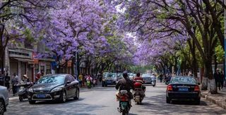 昆明市老牌景区内的新玩法,泡森林温泉、烧烤,周末休闲不必愁!