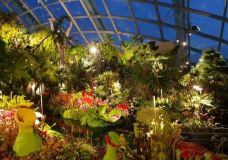 云雾林-新加坡-YoYo_4T8N2E6V