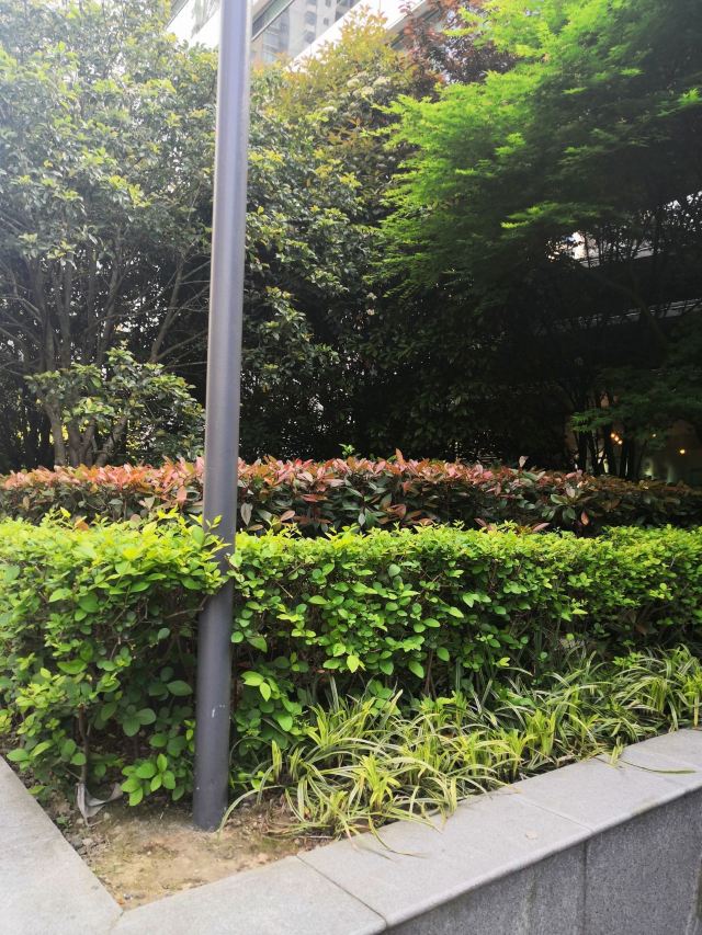 丽园公园旅行图片 3