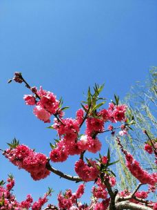 北京鹫峰国家森林公园-北京-YoYo_2W2Q3L5U