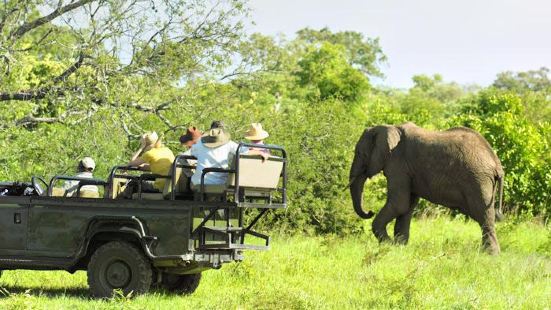 Amer Jeep Safari