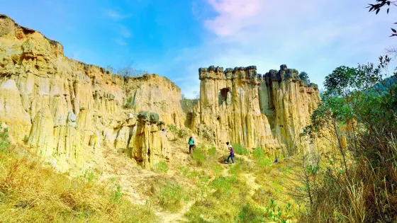 黃聯土林