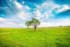 苏泊罕大草原旅游景区-伊金霍洛旗-doris圈圈