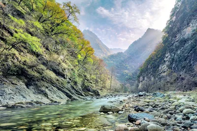 黑河国家森林公园