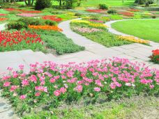 Botanischer Garten Grugapark-埃森