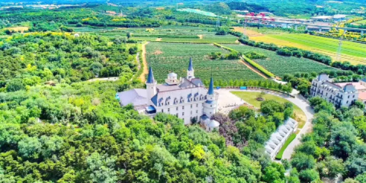 張裕愛斐堡酒莊