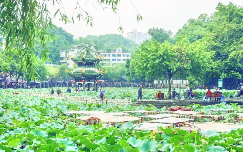 永安旅遊