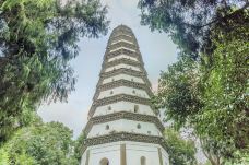 白塔-阆中-doris圈圈