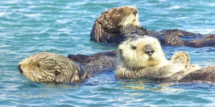 Monterey Bay National Marine Sanctuary Exploration Center