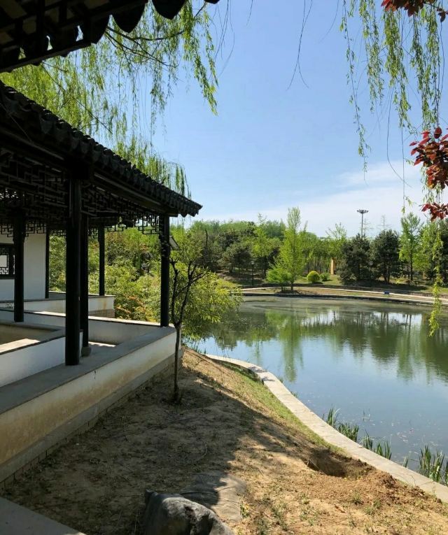 花博会主题公园旅行图片 2