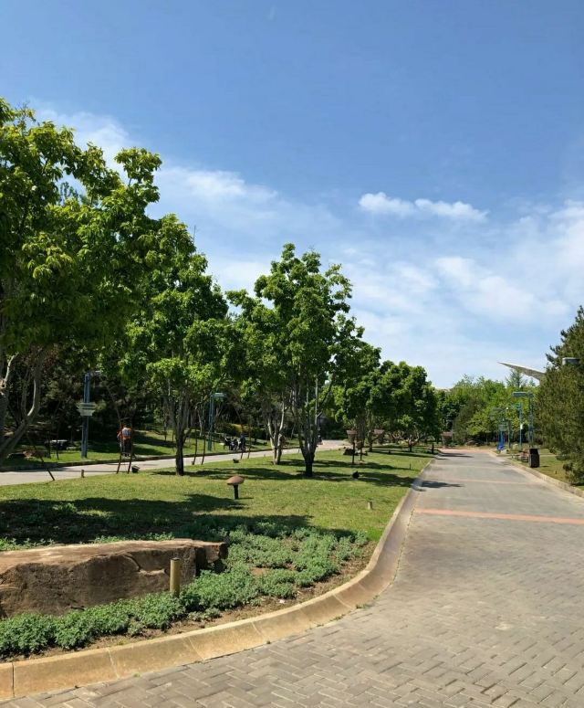 花博会主题公园旅行图片 3