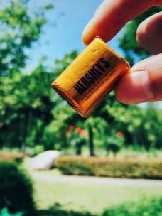 苏州中国花卉植物园-苏州-空空450048464