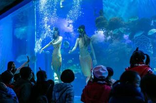 五一小长假,昆明南边现“七彩风车向阳花节”,成为新晋网红点!