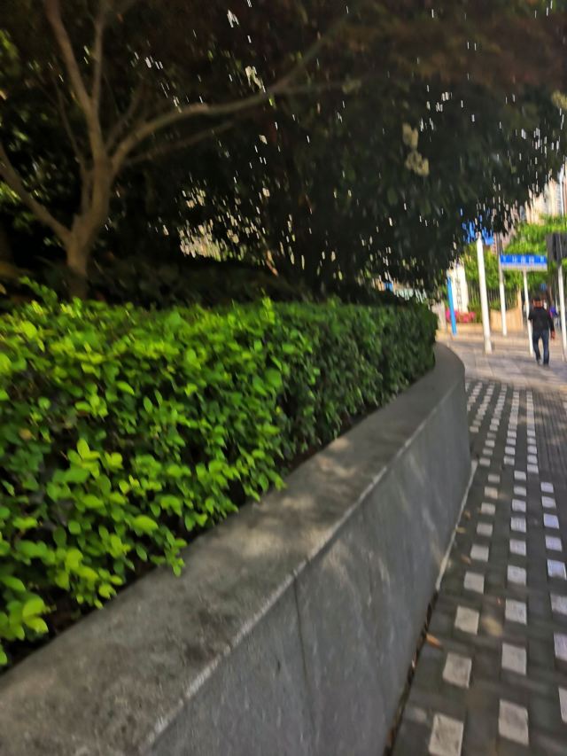 江浦公园旅行图片 2