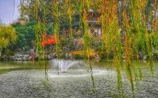 愚园-南京-吴立珍