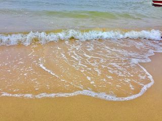 在北戴河农门渔家院住了一晚竟然吃到这么大的皮皮虾，好吃不贵！