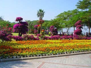 福建旅游:徜徉厦门鼓浪屿(图)