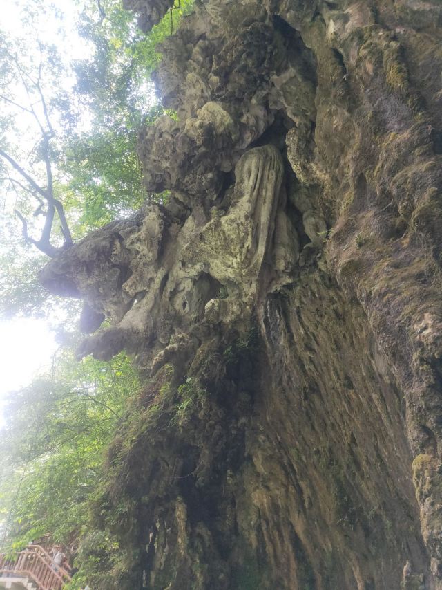 洒金公园旅行图片 4