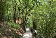 天灯坡景点图片