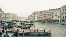 威尼斯-翱翔的大鲨鱼