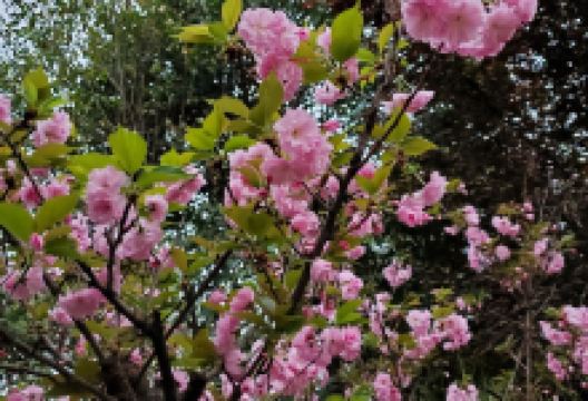 顺辉购物广场购物图片