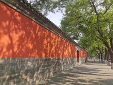 蒙城文庙-蒙城-滇国剑客