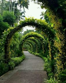 新加坡植物园-新加坡-M34****3007