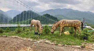 这个夏天，跟我一起玩转法台山！