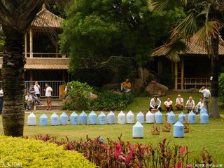 厦门中山公园逗鸟随拍