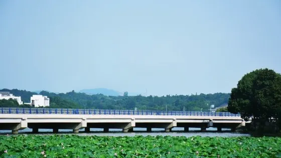 銅陵長江大橋公園