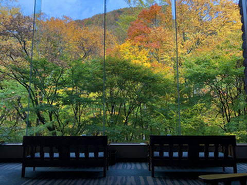 觅色寻汤——2018日本秋游追记 5、绝美！秋之奥入濑溪流