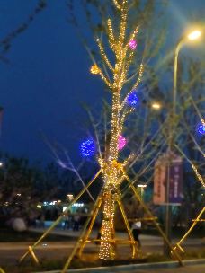 南大港湿地-黄骅-YoYo_9Q7S8G1E