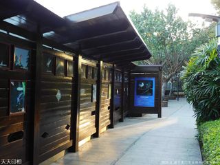 筼筜白鹭美丽生灵(4) 厦门观鸟摄影长廊