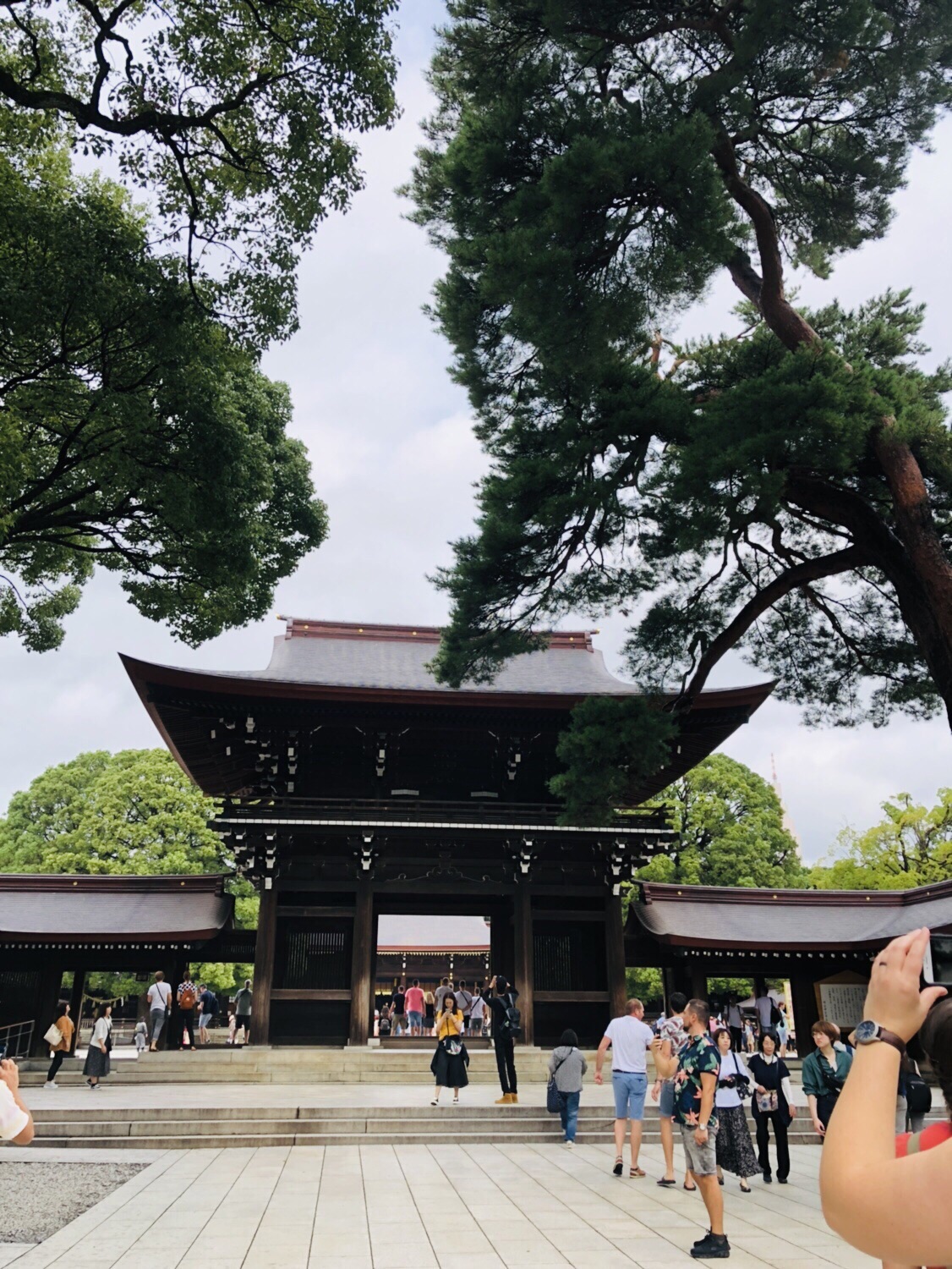 Meiji Jingu Tickets Deals Reviews Family Holidays - 