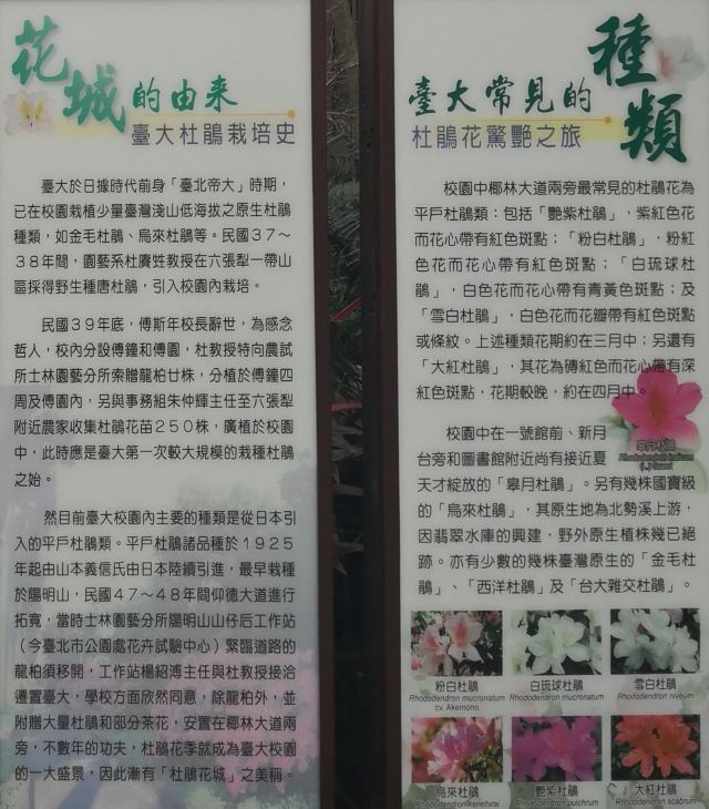 Taiwan University