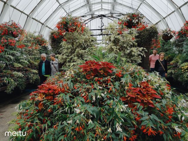 基督城植物園