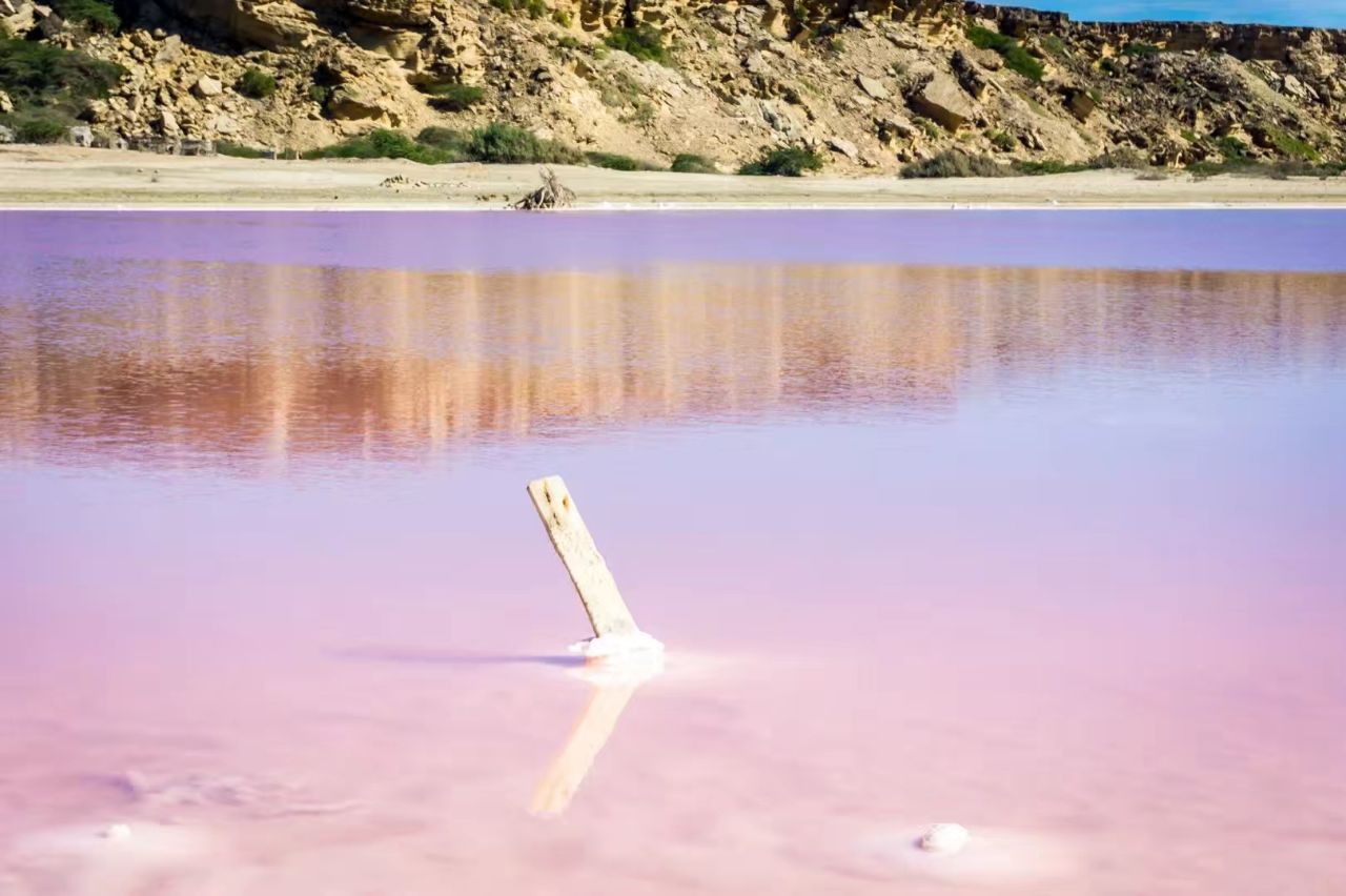 隐藏在中东地区的一座粉红湖 #旅行酷体验