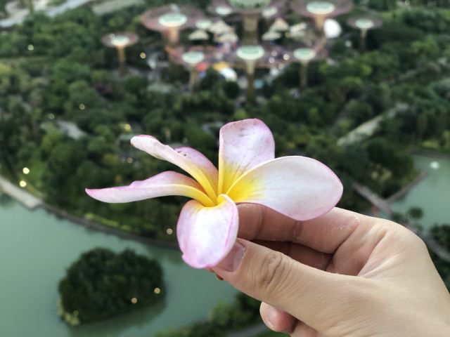 Marina Bay Sands