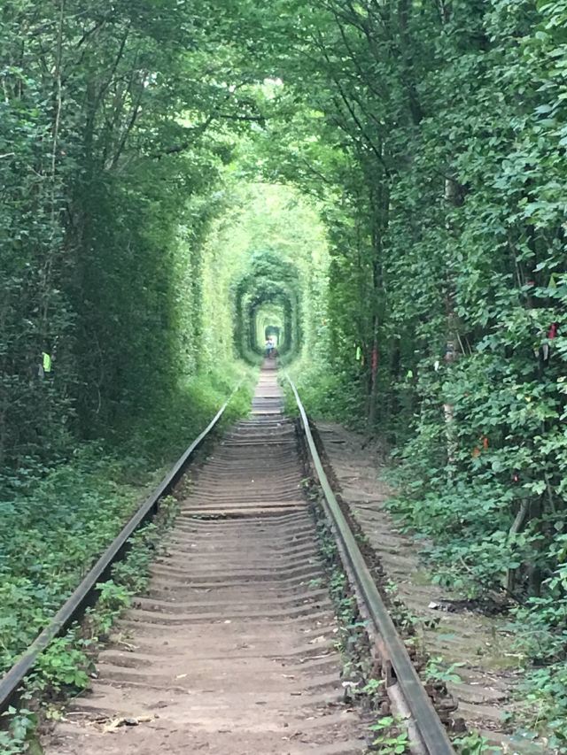 Tunnel of Love