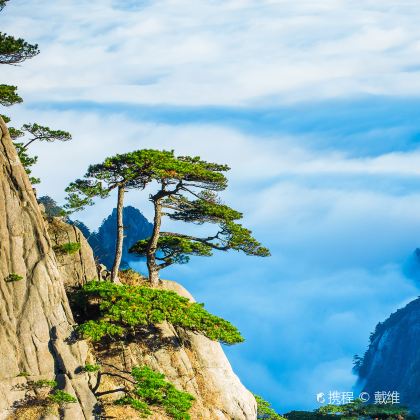 黄山风景区+宏村景区2日1晚跟团游